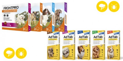 Riesgos para nuestra salud